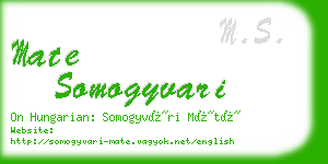 mate somogyvari business card